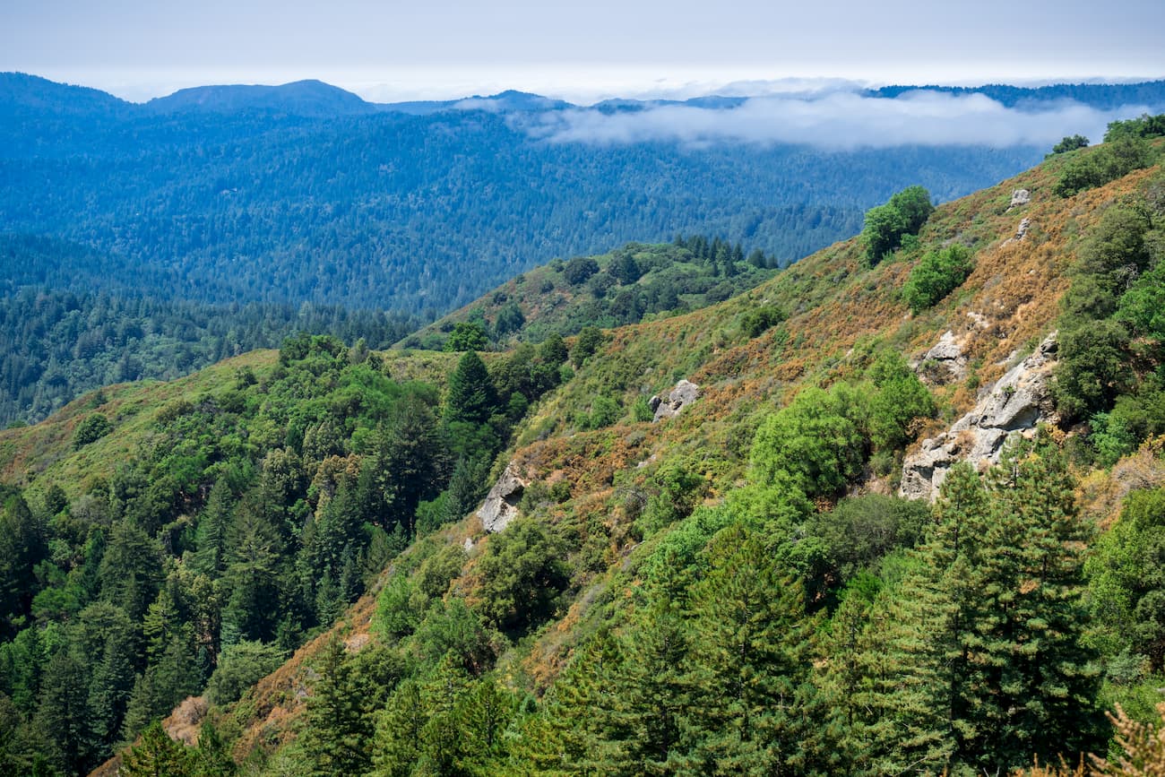 A picture of the santa cruz mountains seen from their peak in castle rock